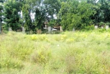 150 Square Yard Residential Plots / Land for Sale in Langha Road, Dehradun